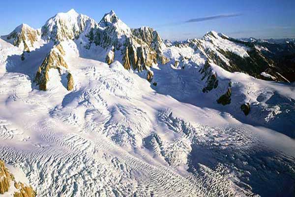 粮草先行！雪花啤酒供应链端的「高端哲学」